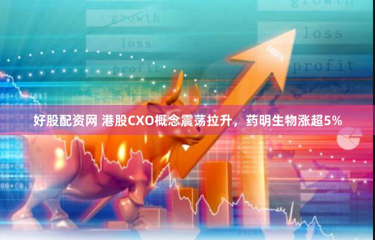 好股配资网 港股CXO概念震荡拉升，药明生物涨超5%