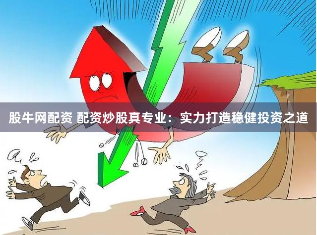 股牛网配资 配资炒股真专业：实力打造稳健投资之道